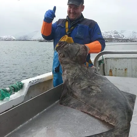 Fishermans Rorbu 1 - Lofoten ランバ