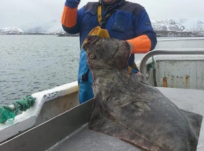 Fishermans Rorbu 1 - Lofoten Ramberg