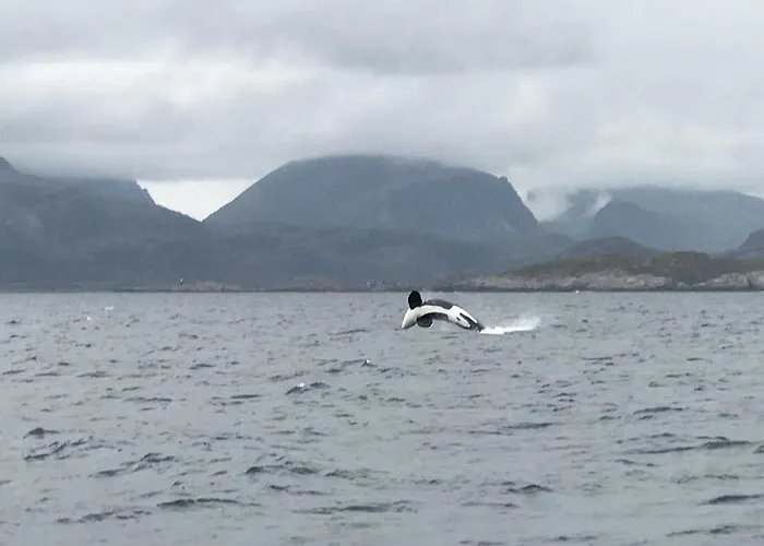 Fishermans Rorbu 1 - Lofoten Apartment Ramberg